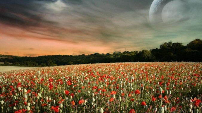 为什么人类喝地球的水需要过滤，而其他任何一种地球的生物可以直接喝地球的水？